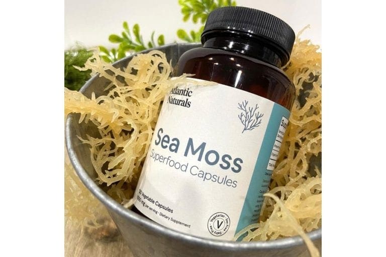 The Benefits of Sea Moss Think Glamor